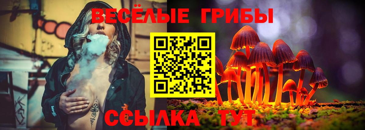 Кизилюрт  купить закладку  Вход с VPN  Галлюциногенные грибы мицелий 